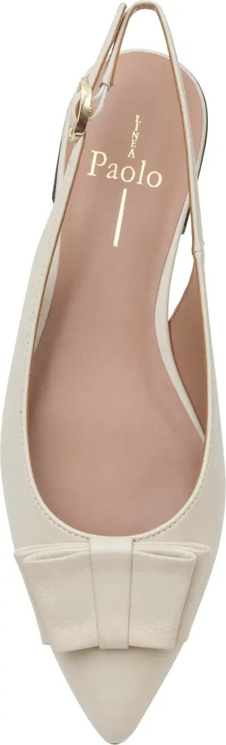 Deandra Slingback Pointed Toe Pump (Women) | Nordstrom