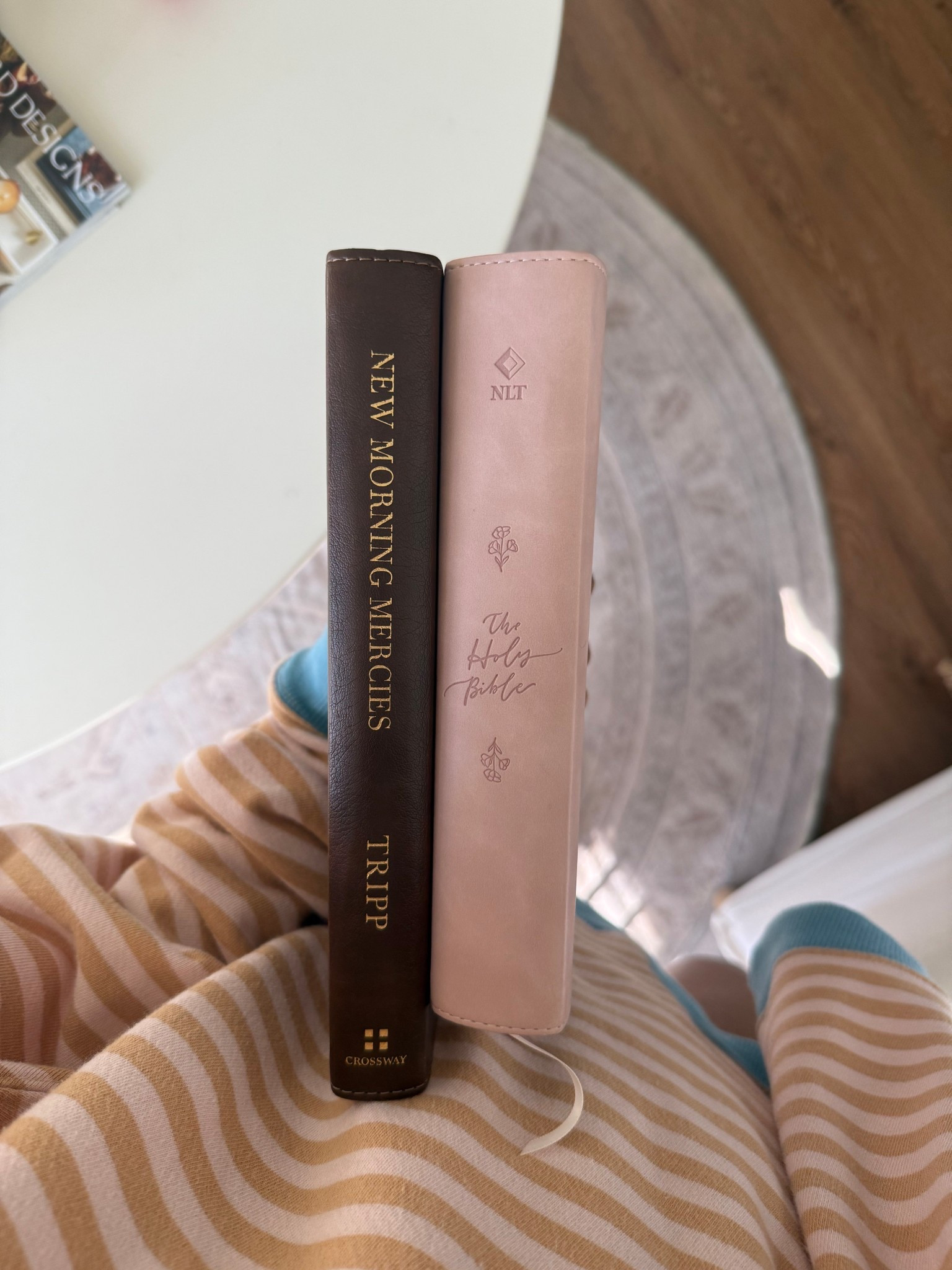 Bible and daily devotional 💗