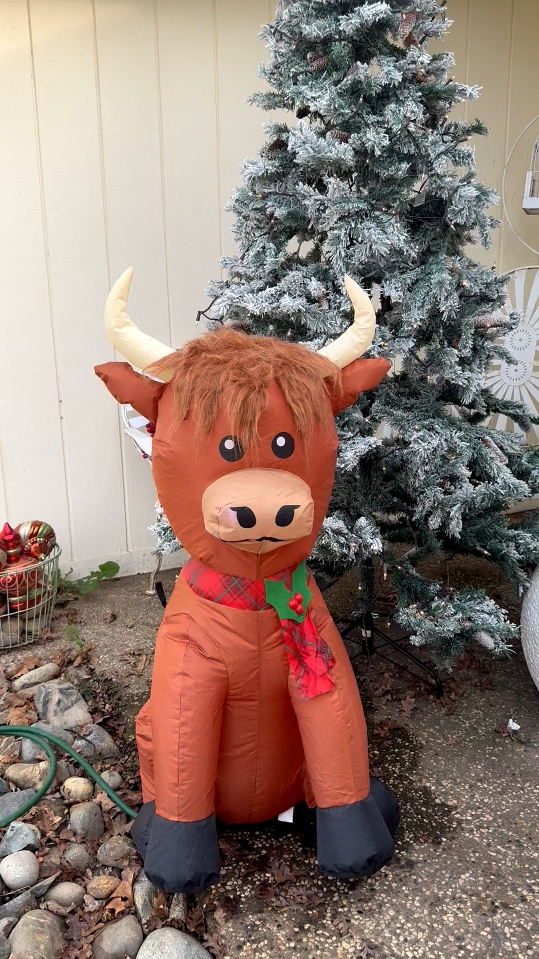 Christmas inflatable. Holiday inflatable. Scottish Highlander inflatable. Cow inflatable. Flocked Christmas tree with pinecones. Outdoor holiday decor. Outdoor Christmas decor. ❤️

#LTKHome #LTKGiftGuide #LTKHoliday