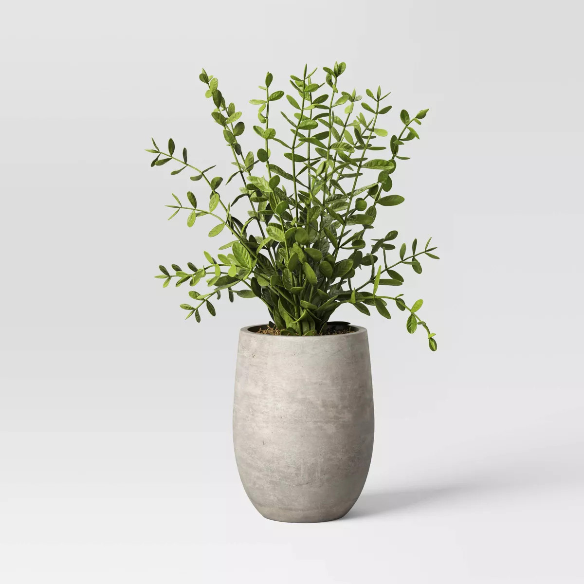 14" Privet Artificial Plant - Threshold™ designed with Studio McGee: No-Maintenance Greenery, I... | Target