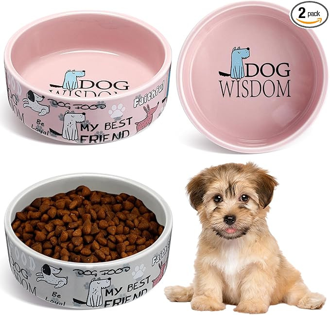 Maxcheck 2 Pcs 5 Inch Ceramic Dog Bowls Dishes for Small Dogs Cute Cartoon Pattern Puppy Cat Bowl... | Amazon (US)