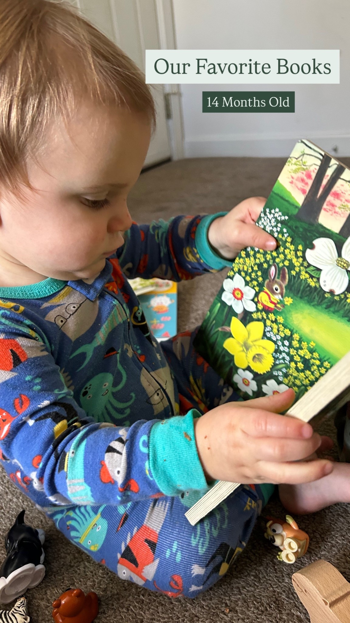 Check out our current favorite books. I can’t gaurentee  they won’t get hidden under the couch after being read 100x on repeat, but it’s worth cultivating a love of reading.

#LTKBaby #LTKKids #LTKFamily