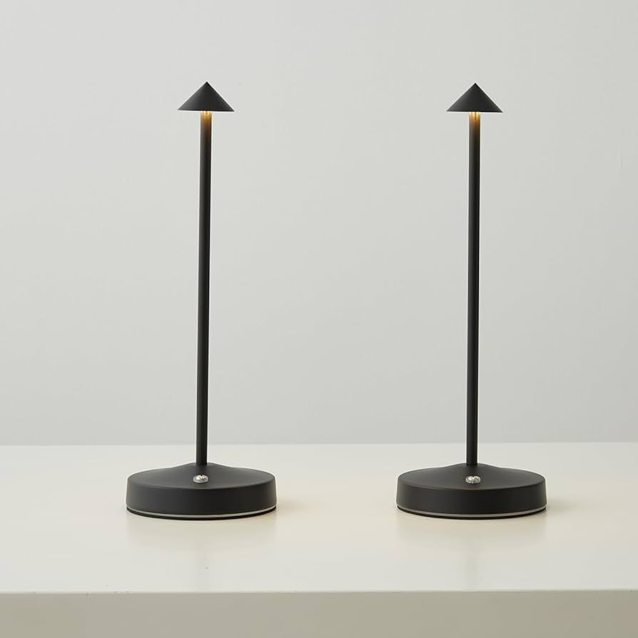 2 PACK Cordless Lamps,Battery Rechargeable Table Lamp,Portable Lamps,2 Level Brightness Dimmable ... | Amazon (US)