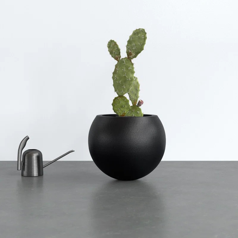 AllModern Mcgill ConFiconstone Pot Planter & Reviews | Wayfair | Wayfair North America
