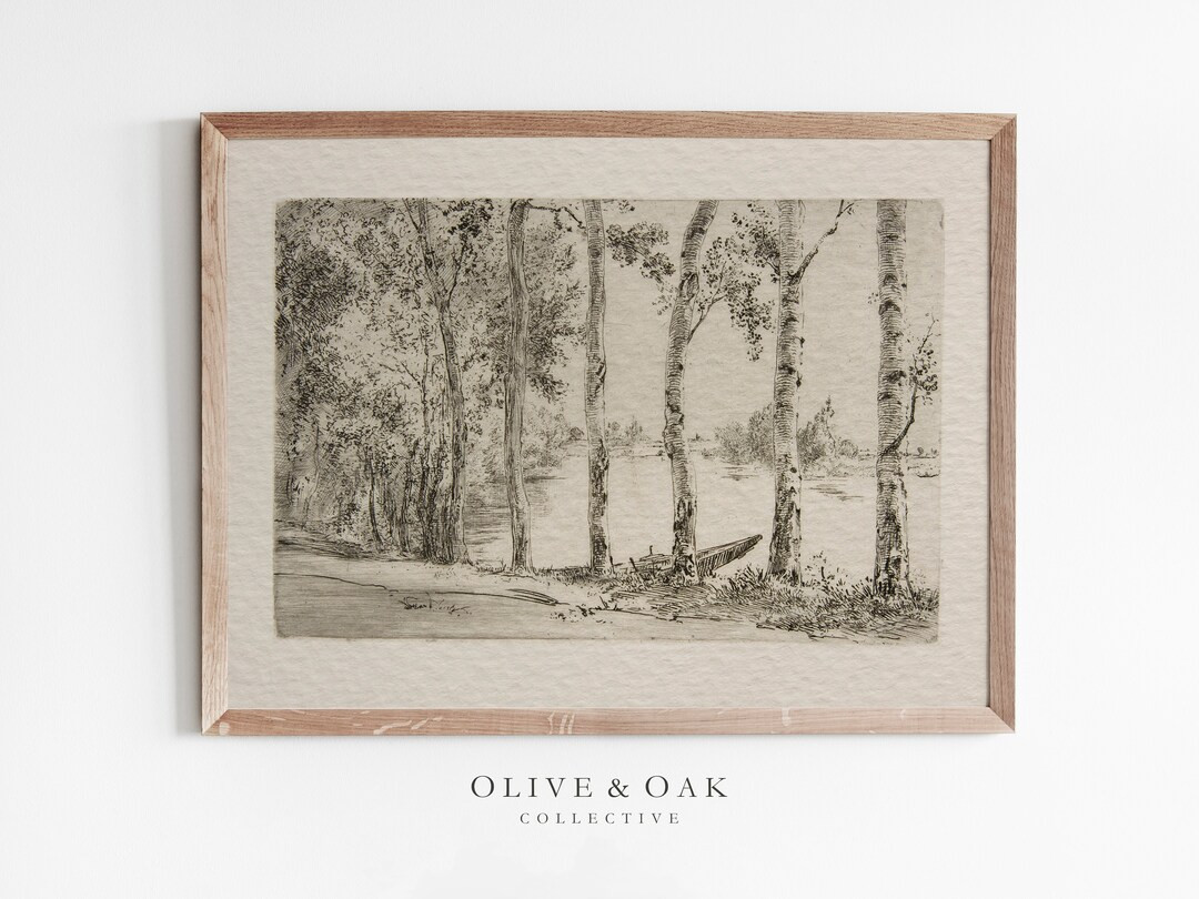 Vintage Birch Tree Sketch / Antique Botanical Drawing PRINTABLE Wall Art / Rustic Country Digital... | Etsy (US)