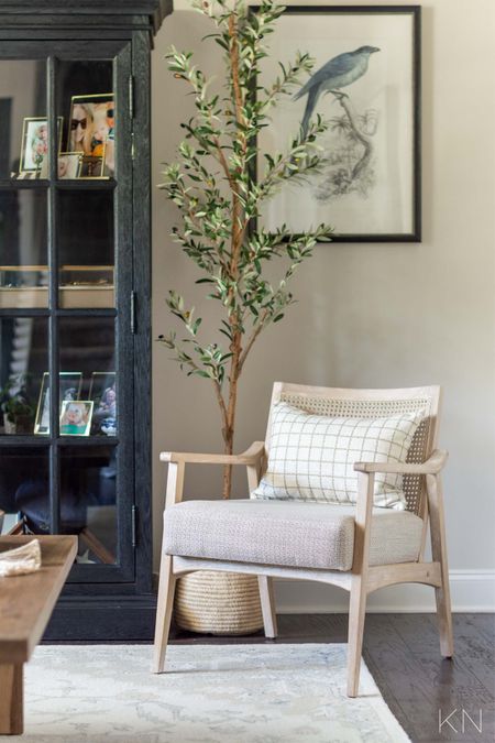 This cane back accent chair adds extra seating to our conversation room and is situated next to our black curio cabinet, faux olive tree and bird print. home decor living room decor occasional chair art print bird print pair display cabinet

#LTKstyletip #LTKhome #LTKfamily