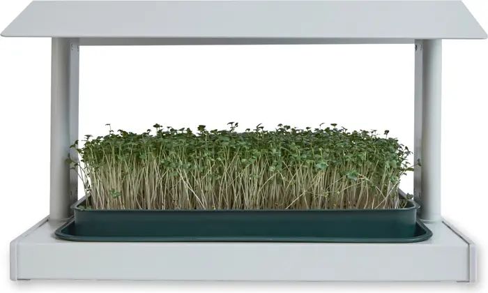 Leath Fieldhouse Indoor Microgreen Grow System | Nordstrom | Nordstrom