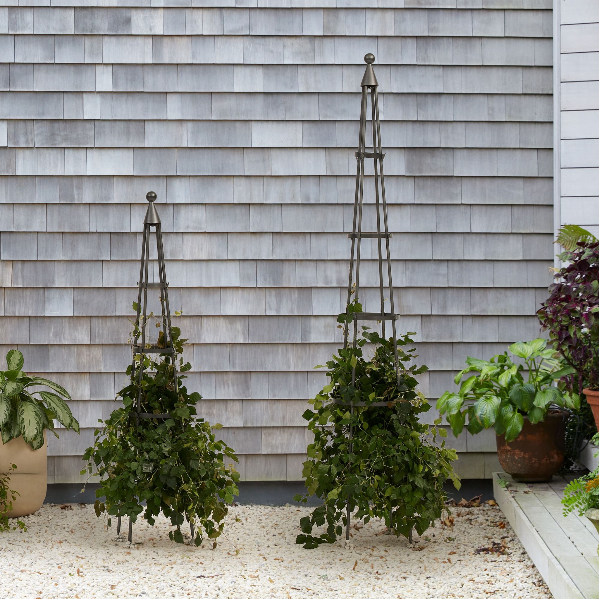 Garden obelisk trellis 

#LTKSeasonal #LTKunder100