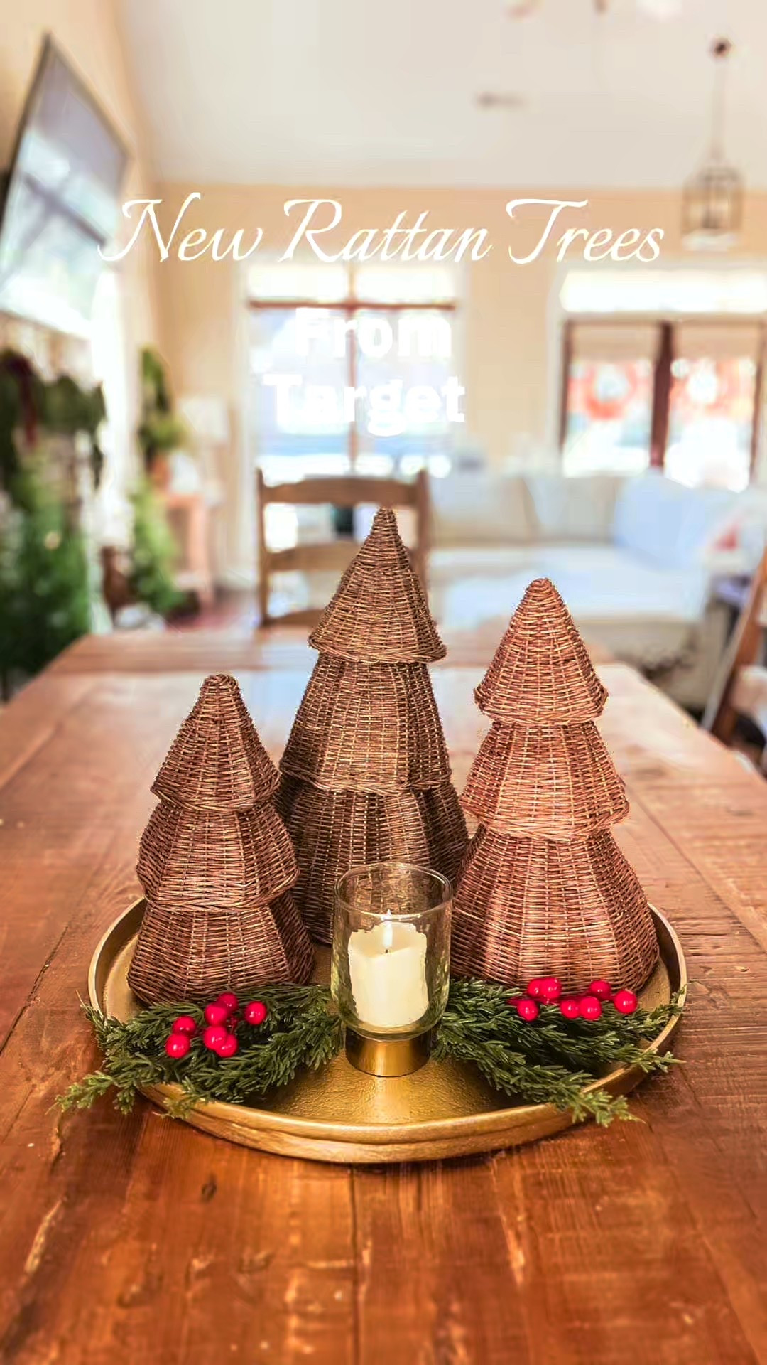 Rattan but make it Christmas 😍✨ Obsessed with these new Target trees — the perfect mix of cozy + chic holiday style! #TargetHome #HolidayVibes

#LTKHome #LTKGiftGuide #LTKSeasonal