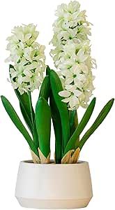 365 Blooming Decor 16 inch Tall White Potted Faux Hyacinth Flower Plant with River Stone-Luxury A... | Amazon (US)