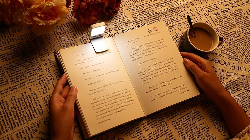 DEWENWILS Book Light Rechargeable, Amber Reading Lights for Books in Bed, Blue Light Blocking, 4 Bri | Amazon (US)