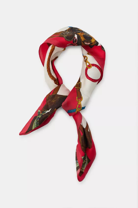 100% SILK DACHSHUND PRINT SCARF | Zara US