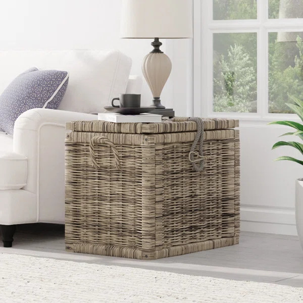 Brasfield Wicker Trunk with Storage | Wayfair North America