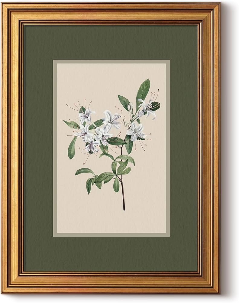 InSimSea Gold Framed Canvas Prints Wall Art, Vintage Nursery Decor, Botanical White Floral Painti... | Amazon (US)