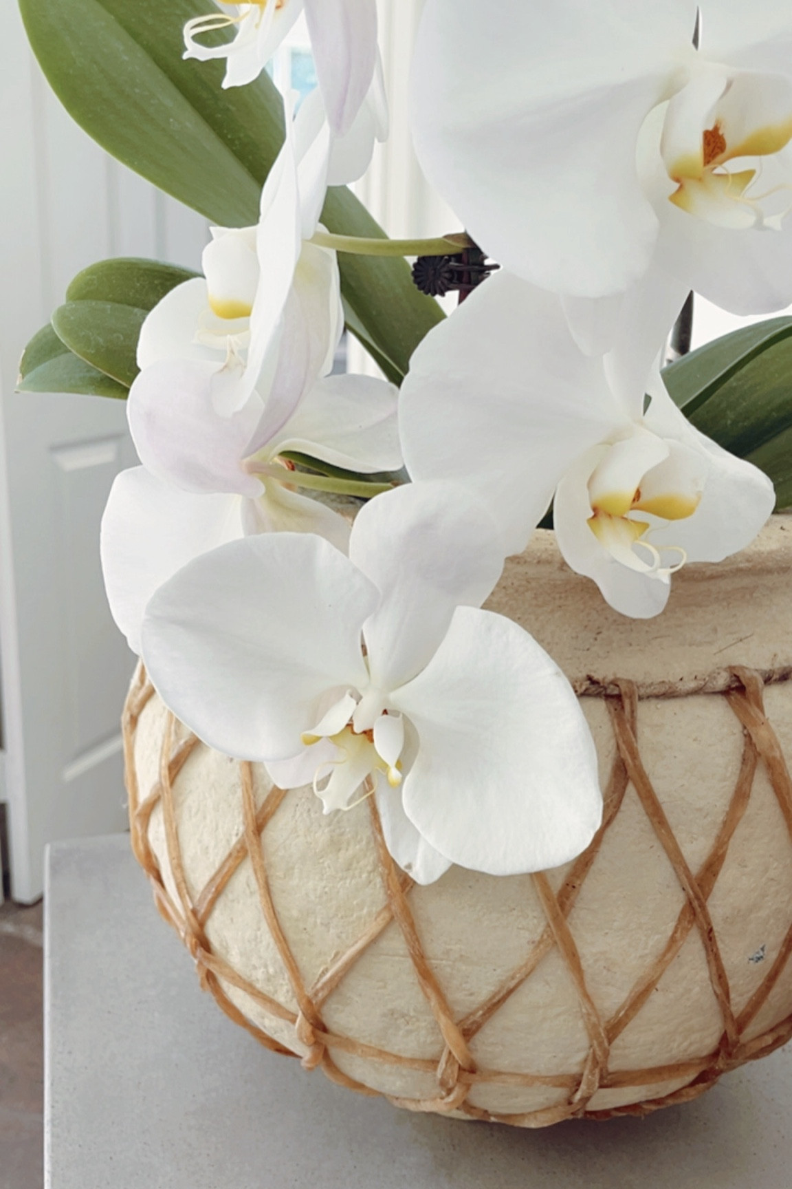 I love my paper mache bowl/vase! I linked a similar one here but these are getting harder to find!

#homedecor #homeaccessories

#LTKStyleTip #LTKFindsUnder100 #LTKHome