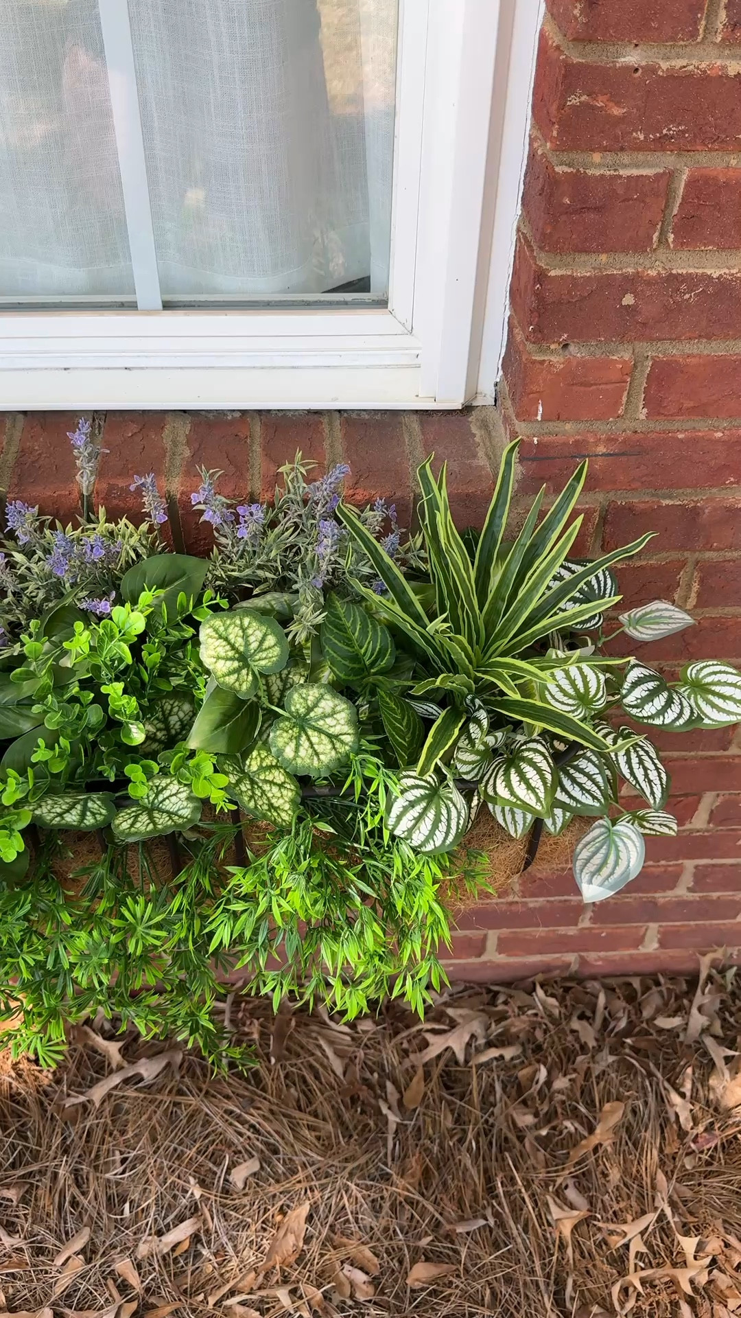 Faux plats for window boxes. Amazon finds 

#LTKSaleAlert #LTKSeasonal #LTKHome