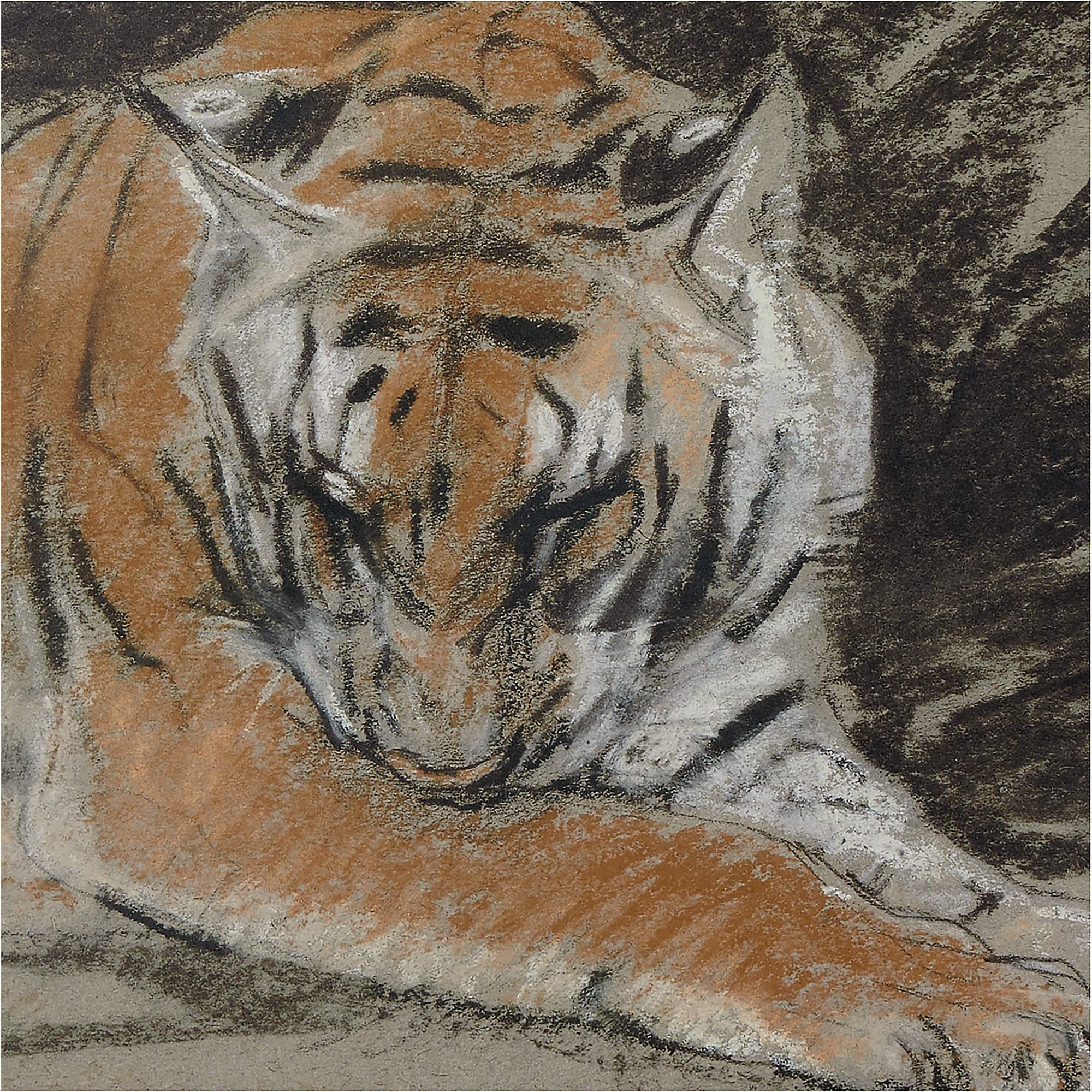 'Tigress' Framed Reproduction by John Macallan Swan 26"X14" | CB2 | CB2