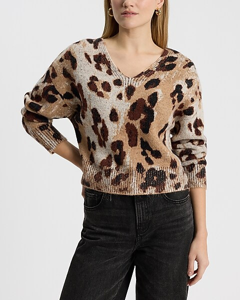 Leopard Print V-neck Sweater | Express