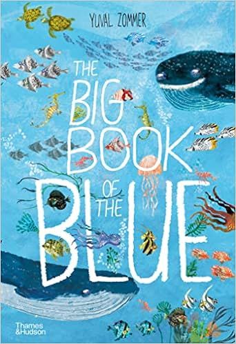 The Big Book of the Blue (The Big Book Series)     Hardcover – Picture Book, June 5, 2018 | Amazon (US)