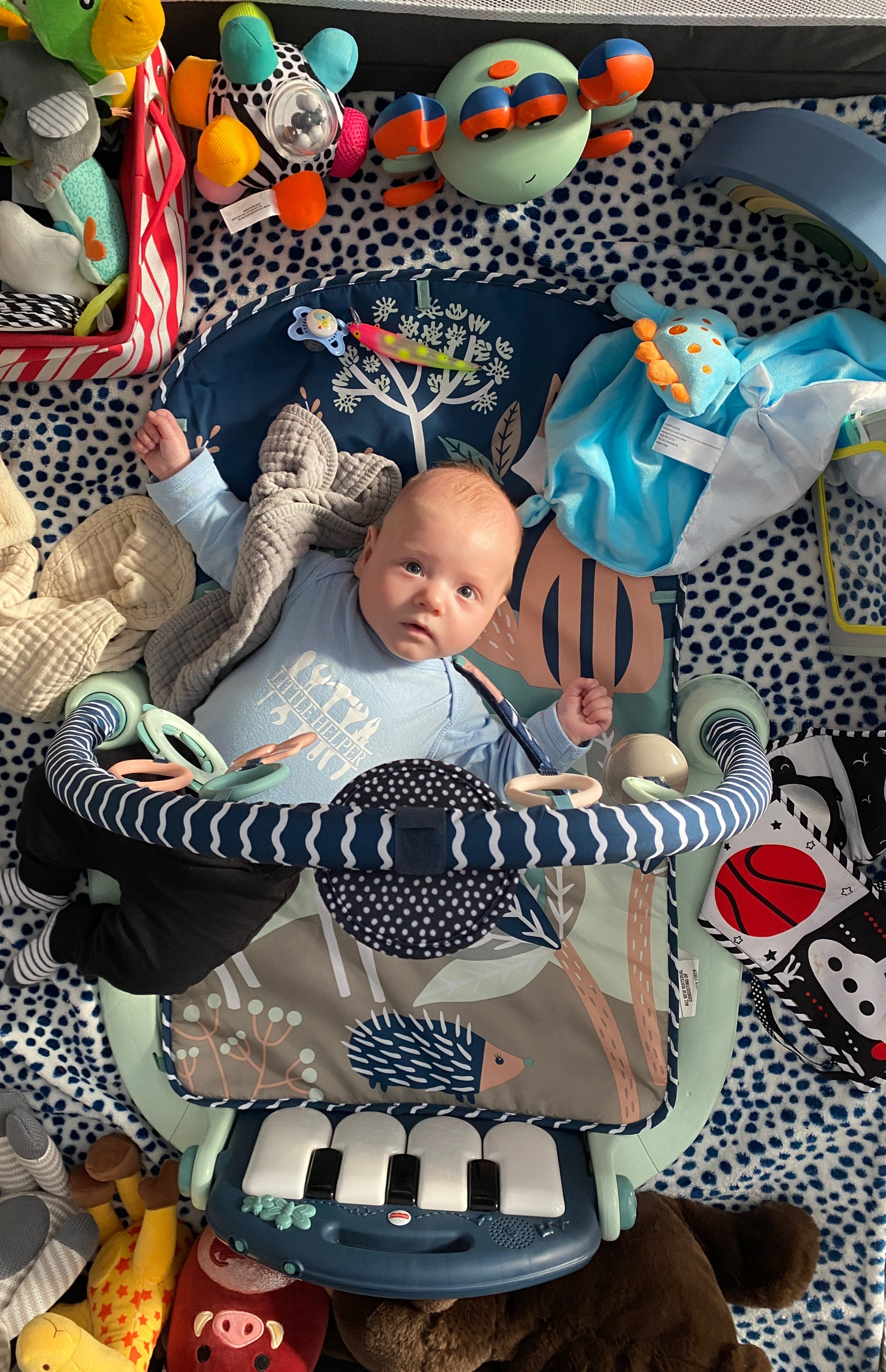 Baby jail essentials for my almost 3 month old

#LTKKids #LTKFamily #LTKBaby