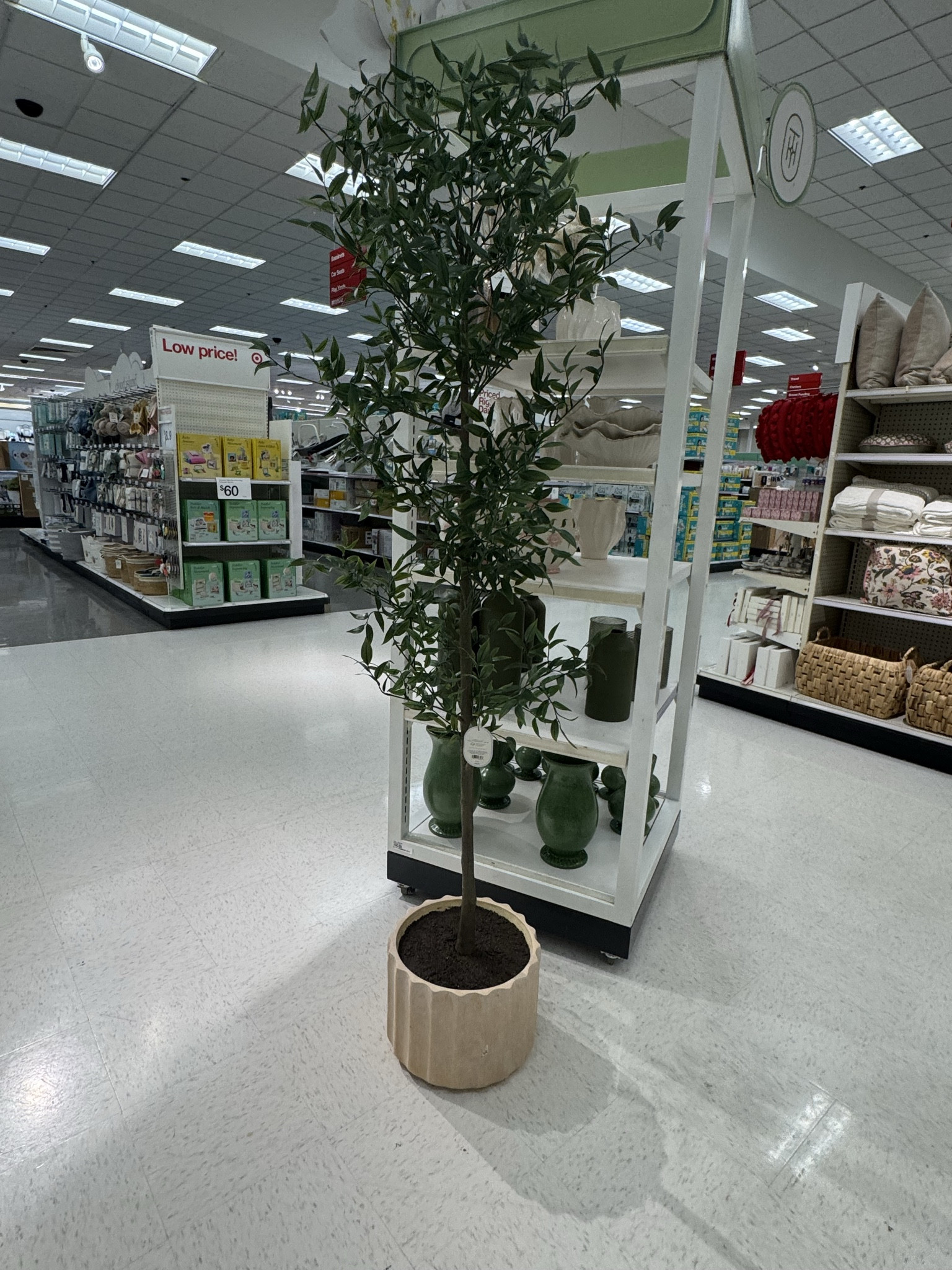 The viral shady lady tree is back at target! Add this to any room to spruce up your home decor  

#LTKSaleAlert #LTKHome