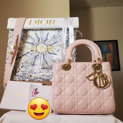 $6200 Lady Dior My dior ABC Pink Lambskin Gold hardware small bag Year 2022 | eBay US