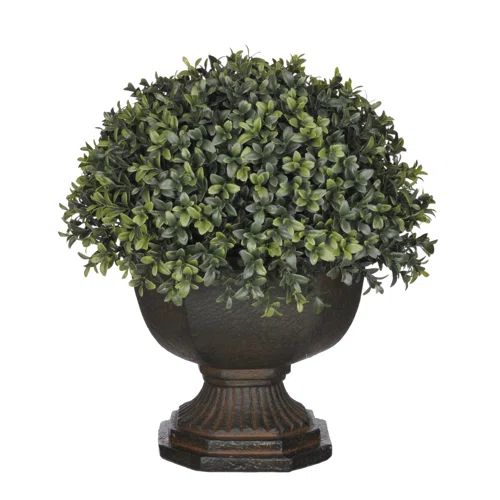 House of Silk Flowers Artificial Boxwood Half-Ball Topiary in Urn | Wayfair North America