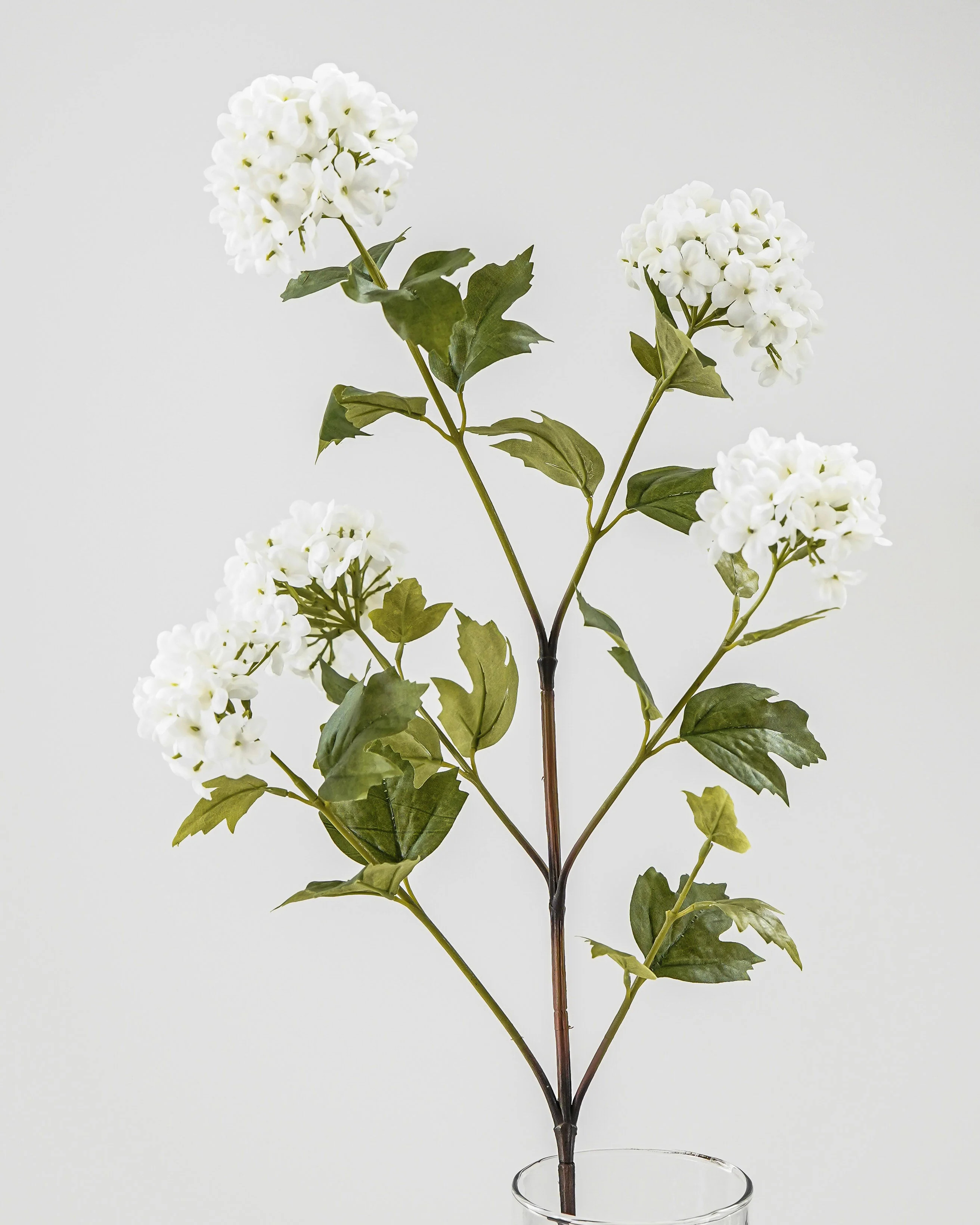 White Snowball Viburnum Stem | MJHome