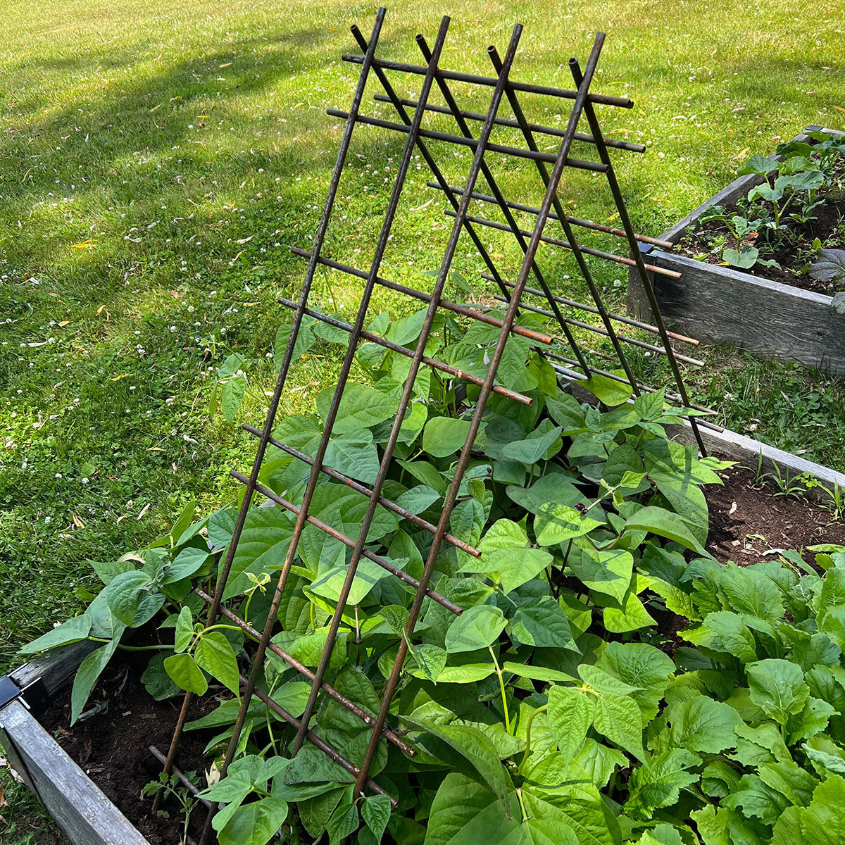 Interlocking Steel Garden Trellis | Garrett Wade