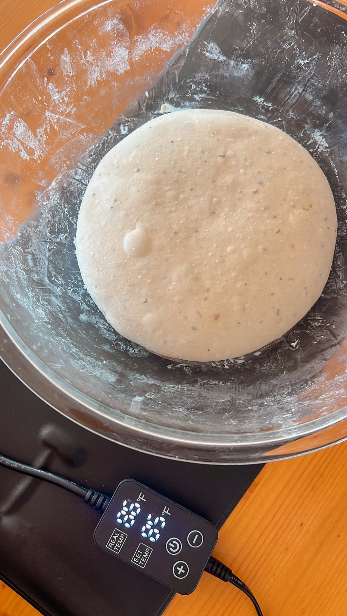 This sourdough/bread warming mat is going to CHANGE THE GAME this winter season!! 🤩👏

#LTKFindsUnder50 #LTKFindsUnder100 #LTKHome