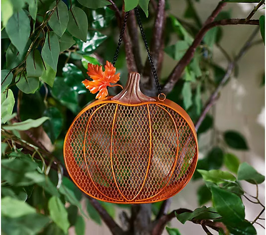 Marigold Hanging Metal Fall Bird Feeder - QVC.com | QVC