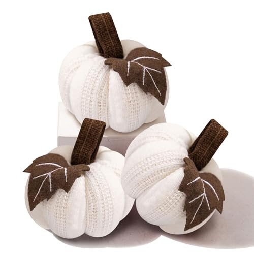 Charming White Pumpkins for Decorating – Rustic Mini Pumpkins Set of 3, Perfect for Fall Kitchen Decor, Thanksgiving Table Decor, and Cozy Autumn Displays | Amazon (US)