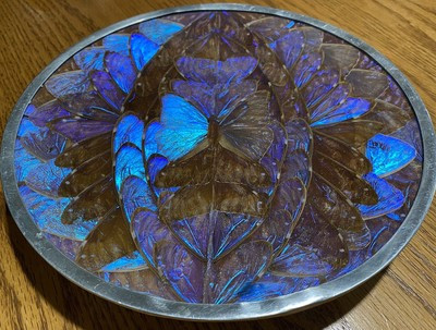 Vintage Blue Morpho Butterfly Wing Plate Art Wall Brazil Hanging Decor 9.25 Inch  | eBay | eBay US