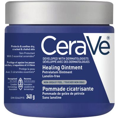 Healing Ointment | Moisturizing Petrolatum Skin Protectant for Dry Skin with Hyaluronic Acid and ... | Shoppers Drug Mart - Beauty