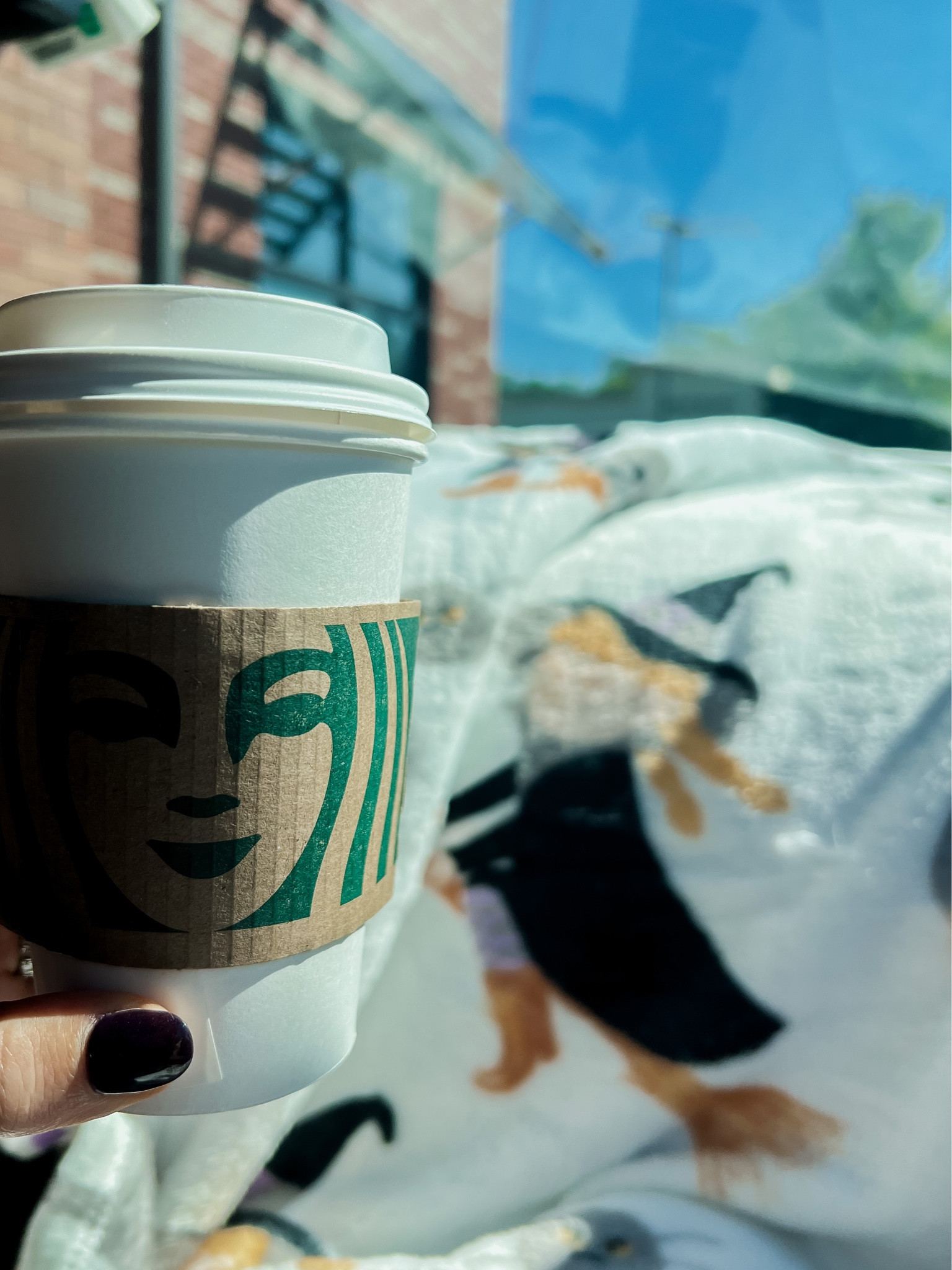 Road trip to Salem calls for a coffee and the warmest witch blanket 🧙‍♀️ 
.
.
#amazon #blanket #fall #halloween #happyfall #cozy #home #witch 

#LTKHalloween #LTKhome #LTKfindsunder50