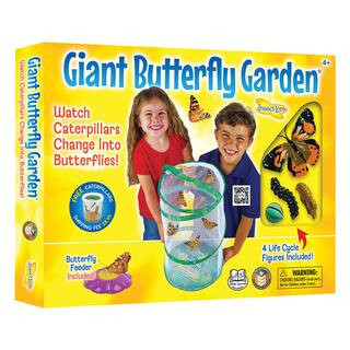 Giant Butterfly Garden® By Insect Lore | Michaels® | Michaels Stores