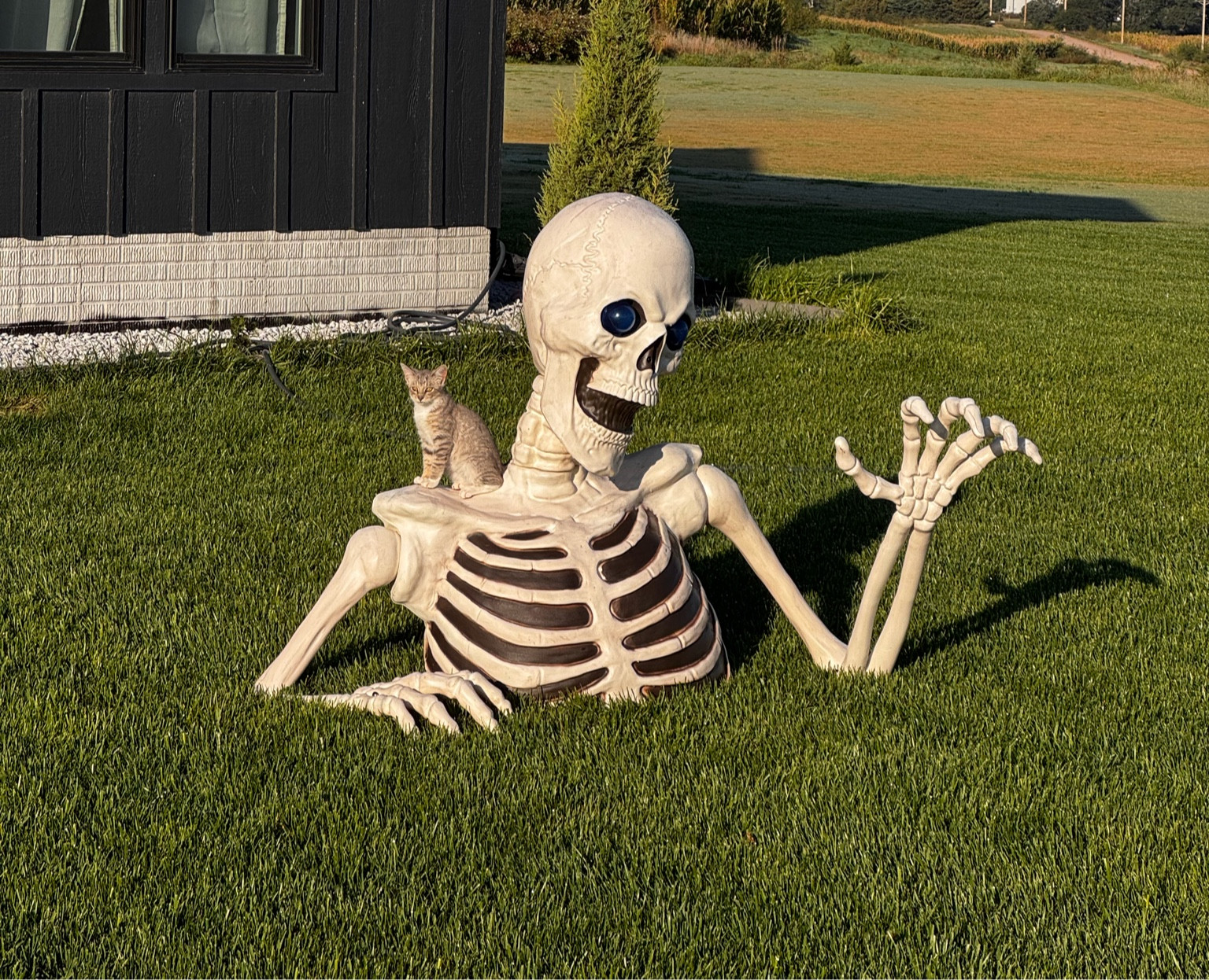 4 ft out of ground skelly

#LTKhome #LTKSeasonal