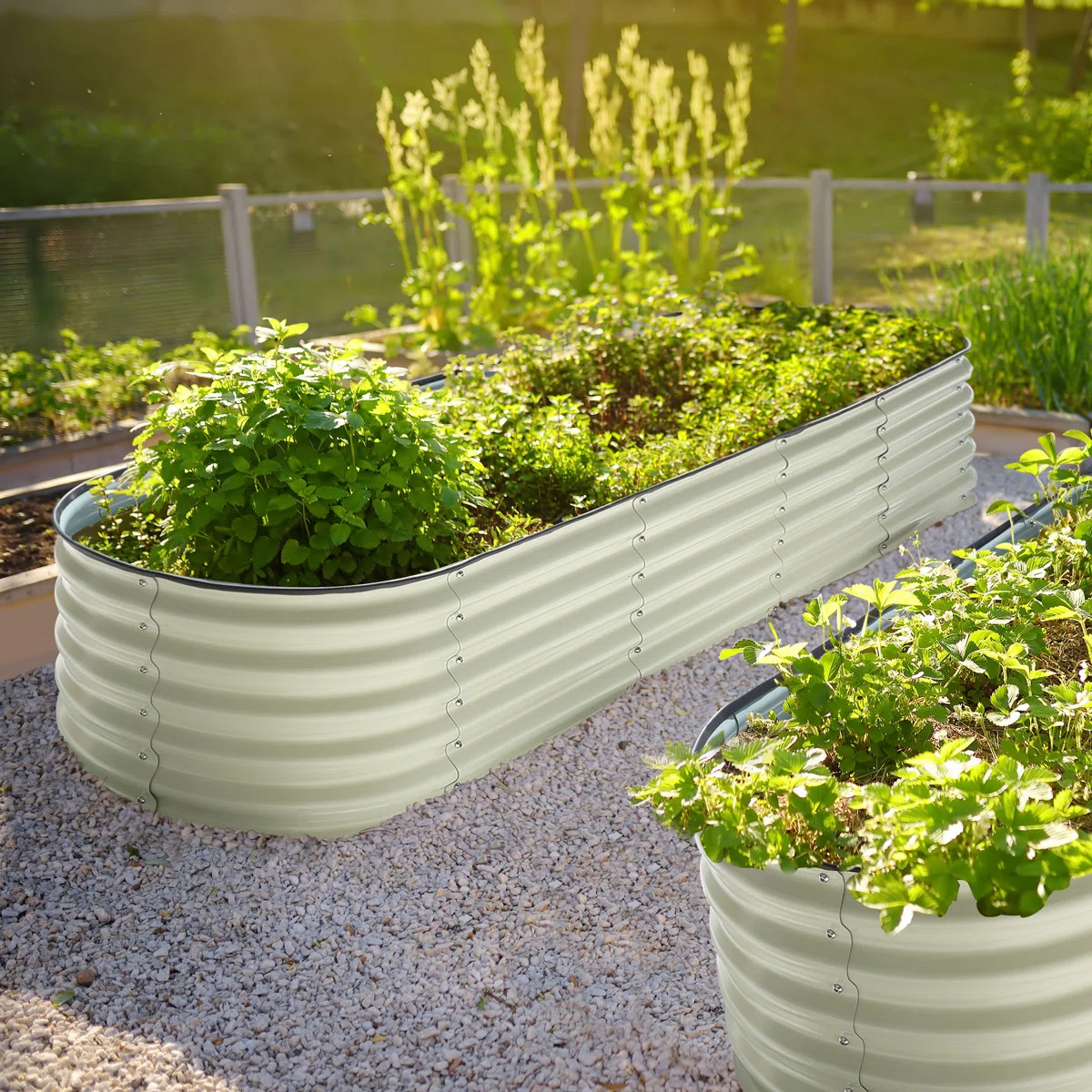 Cengizhan Metal Raised Garden Bed | Wayfair North America