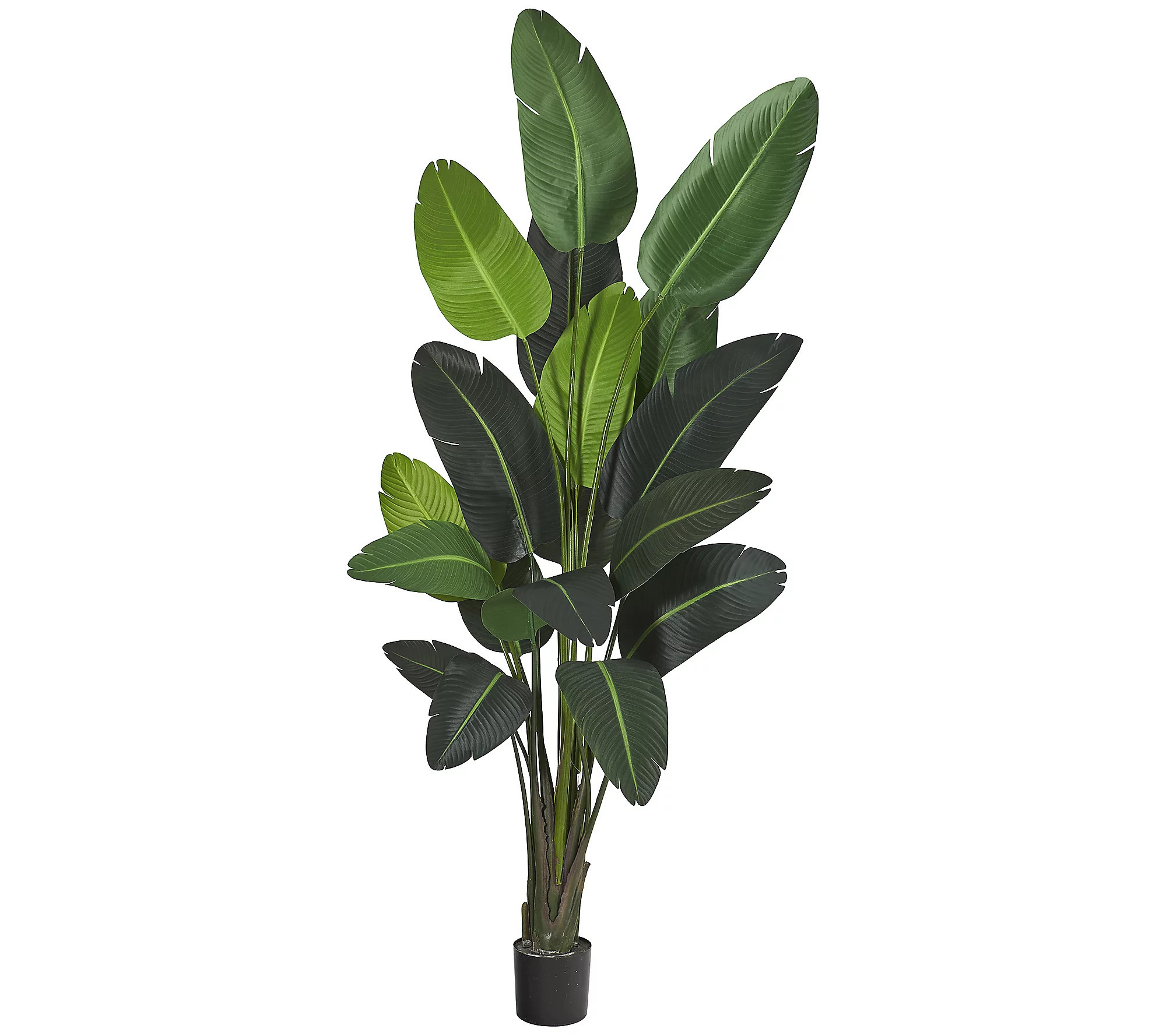 Nearly Natural 8' Traveler's Palm Artificial tree | QVC