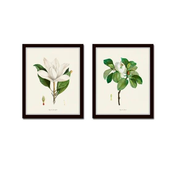 Magnolia Print Set Botanical Prints Giclee Art Print | Etsy | Etsy (US)