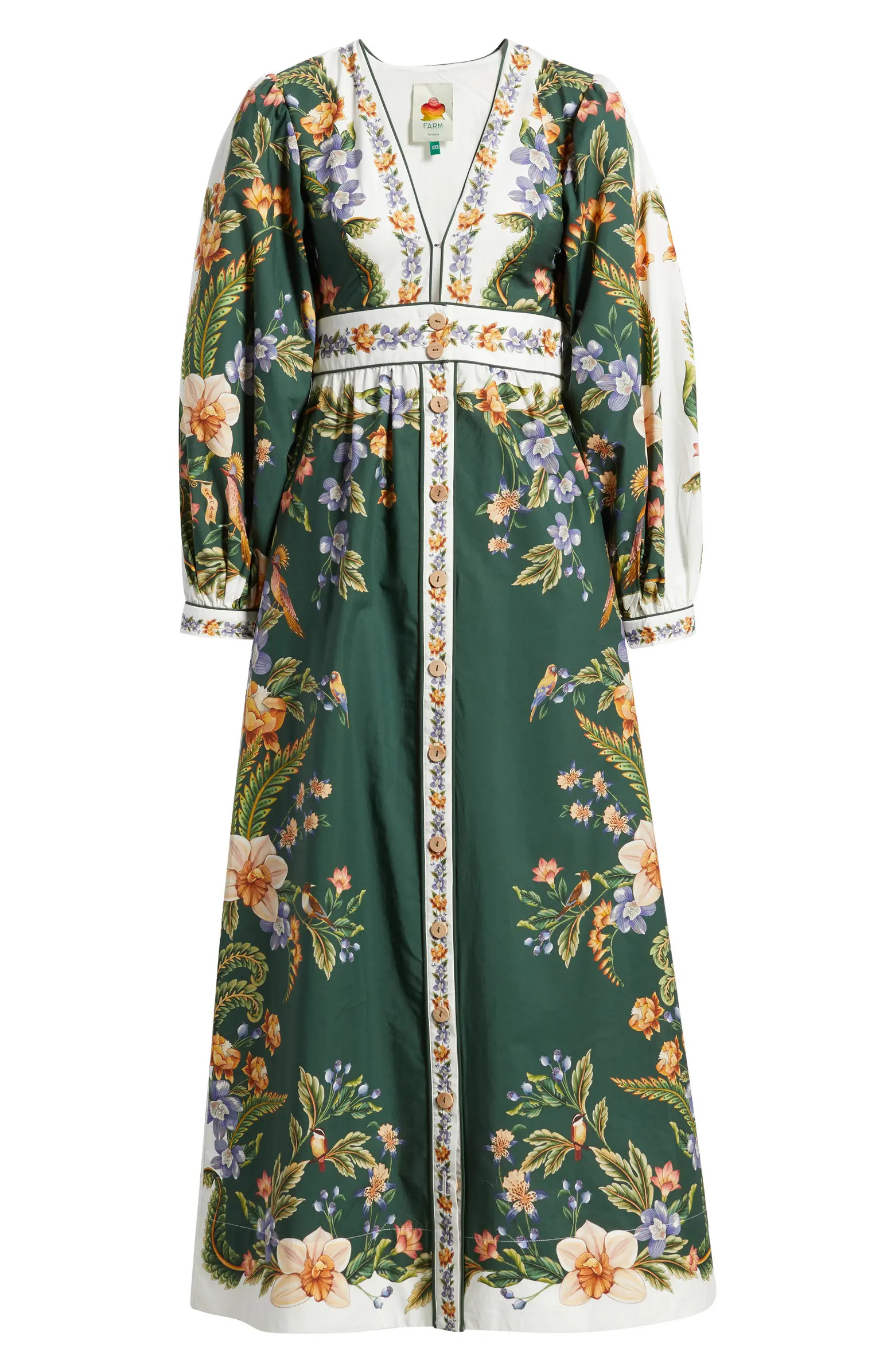Nature Green Long Sleeve Floral Maxi Dress | Nordstrom