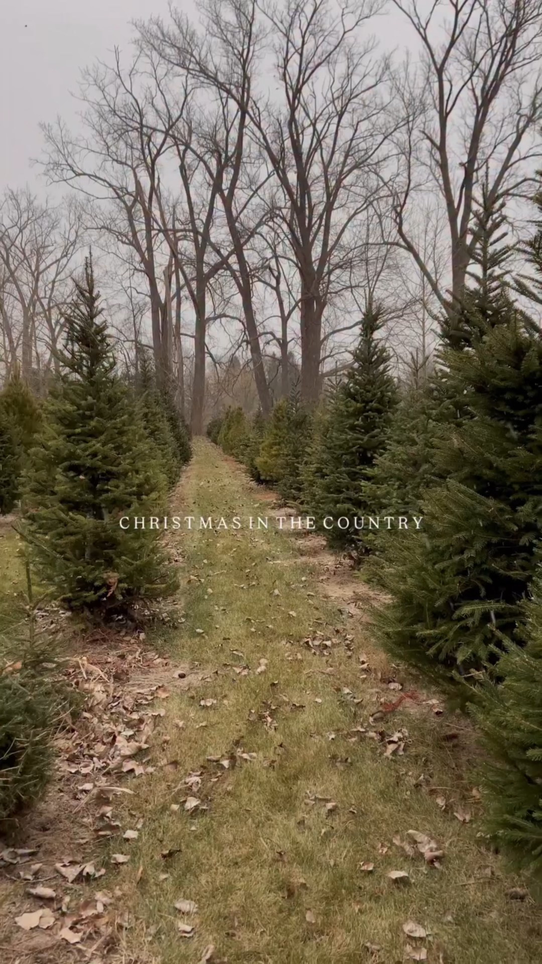 Wishing you all the merriest Christmas.🤍 May you have love and a feeling of lightness in your heart, strong coffee, endless patience, and a chance to slow down and notice that the true magic of the season lies in all the tiniest moments.