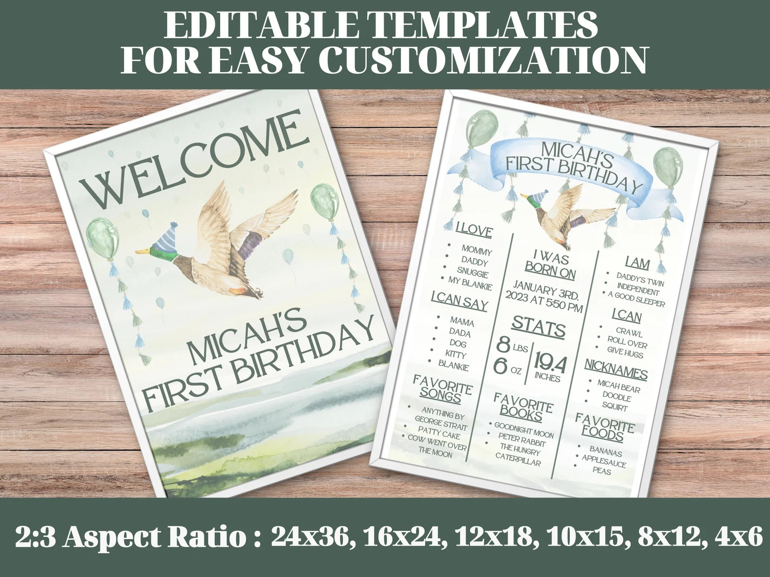 One Lucky Duck Birthday Sign, One Lucky Duck Decor, Duck Hunting Birthday Decor, One Lucky Duck B... | Etsy (US)