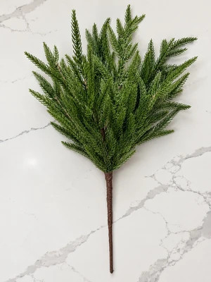 Real Touch Norfolk Pine Stem | MJHome