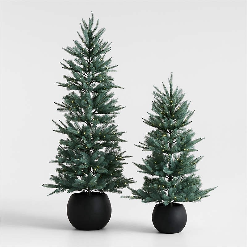 40% off 6’ tree

#LTKHome