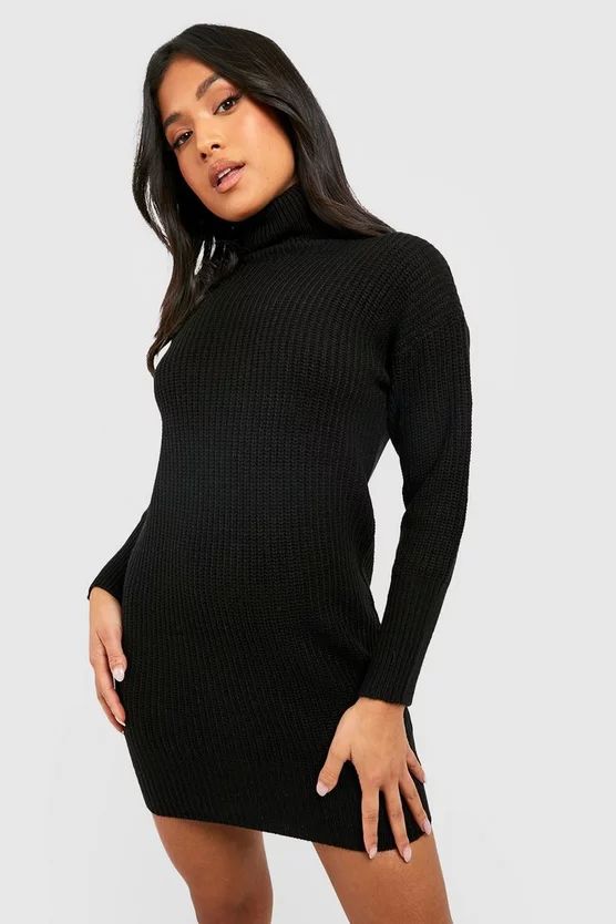 Petite Roll Neck Jumper Dress | Boohoo.com (UK & IE)