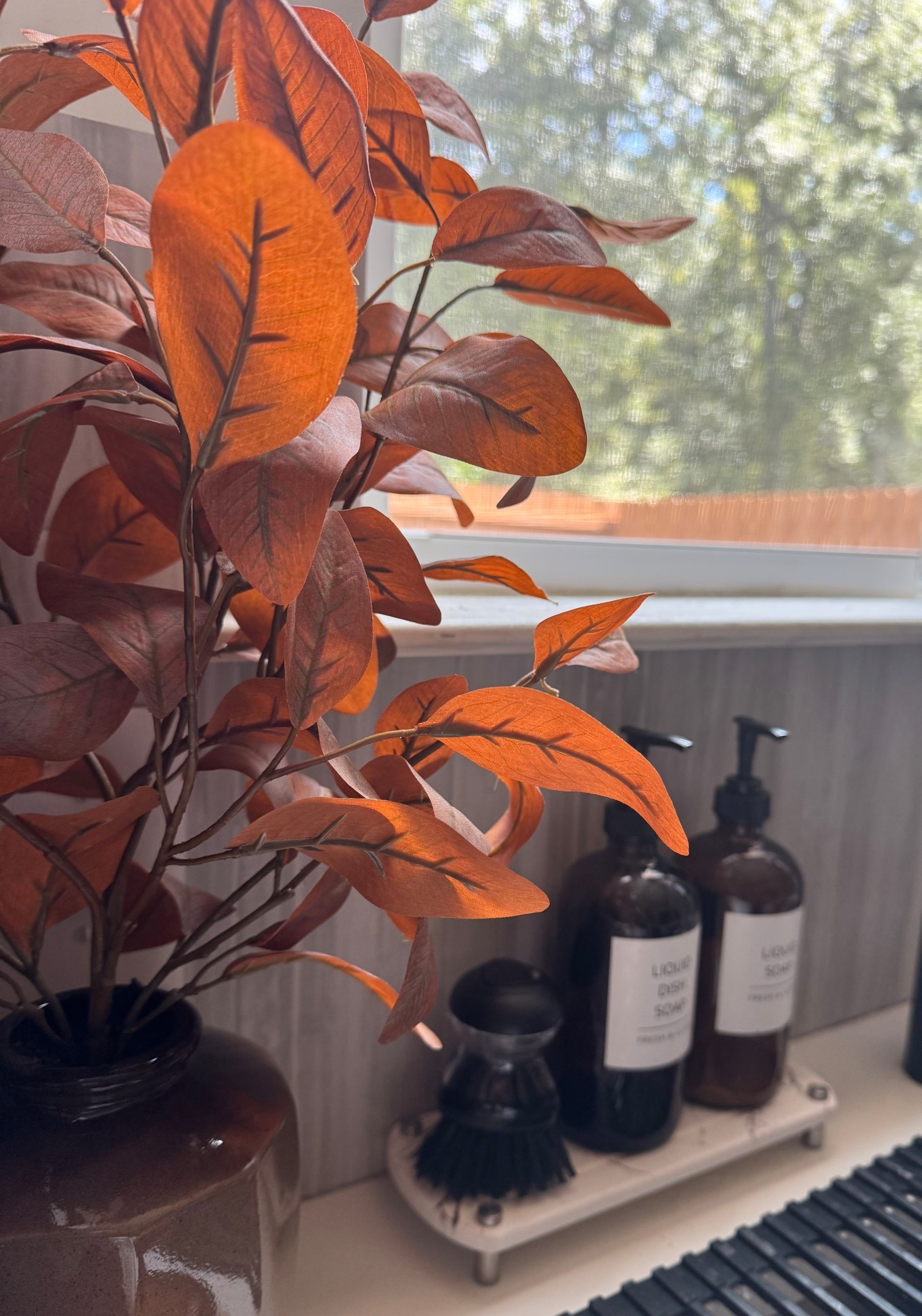 Fall kitchen decor 🍂🍁 

#LTKSeasonal #LTKHome #LTKFindsUnder50