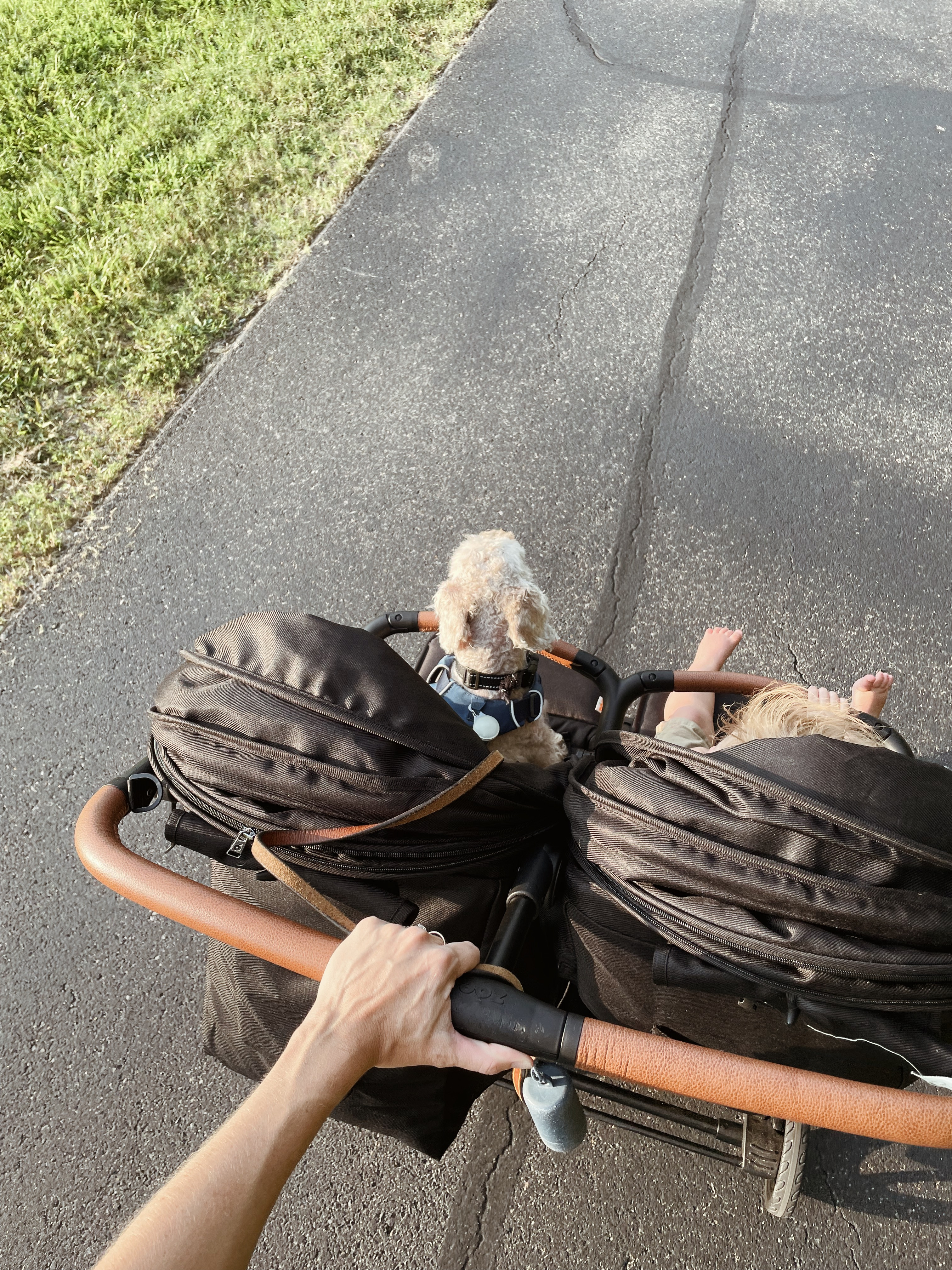 Best double stroller. 

Easy fold up, travel with, and lots of storage. Lightweight too!!

Baby must, newborn must, mama to be, baby shower gift, baby travel, traveling with kids, active kids

#LTKBaby #LTKKids #LTKFamily