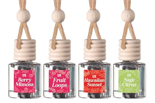 CE Craft Fruity 4 Pack Car Air Hanging Fragrance Oil Diffuser – Car Air Freshener Diffuser for Essential Oils, Scents Fragrance Aromatherapy Automobile Diffuser, Long Lasting | Amazon (US)