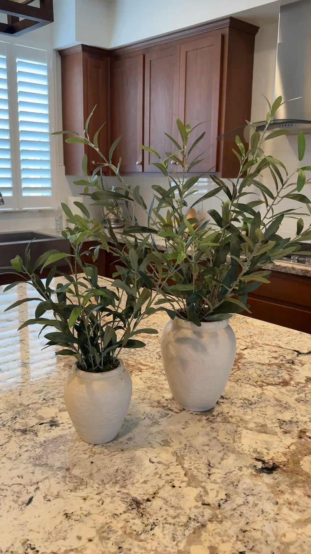 A little greenery goes a long way. 🌿 These faux olive plants add the perfect touch of texture and warmth to any space—no watering required. Linking both sizes here!

#LTKdayinmylife #LTKHome